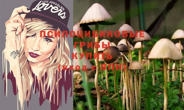 тгк Ступино