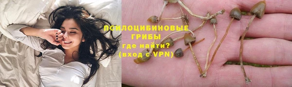 трава Аркадак