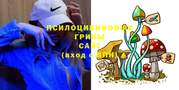 герыч Арсеньев