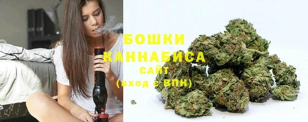 трава Аркадак